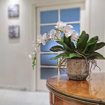 Vinyle Vatican Apartman