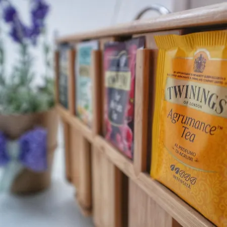 Vinyle Vatican Apartman Róma