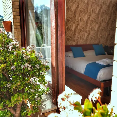 Vinyle Vatican Róma