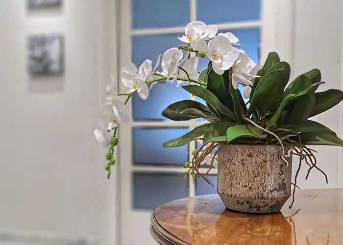 Vinyle Vatican 公寓