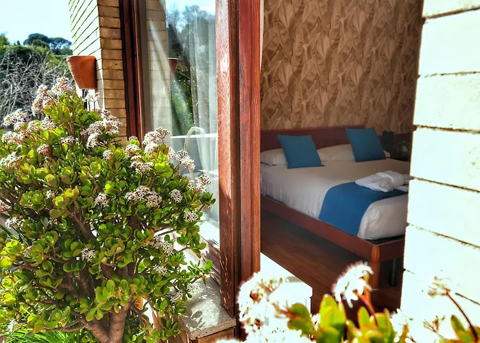 Vinyle Vatican 罗马